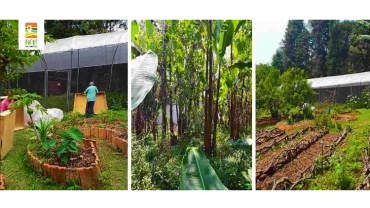 Nossa Fazenda | Parelheiros | RP-UPCR-0137	